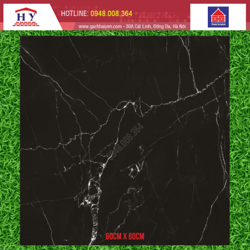 gach thach ban 60x60 FGB60 0010.0