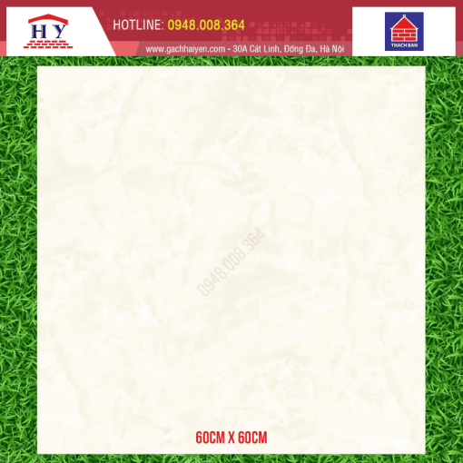 gach thach ban 60x60 FGB60 0081.0
