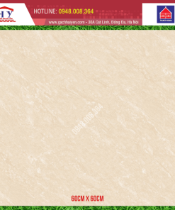 GẠCH THẠCH BÀN 60X60 MÃ FGM60 - 0016.0