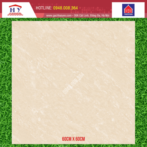 gach thach ban 60x60 FGM60 0016.0