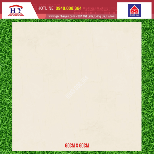 gach thach ban 60x60 TGB60 0071.0