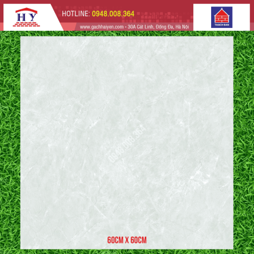 gach thach ban 60x60 TGB60 0221.0
