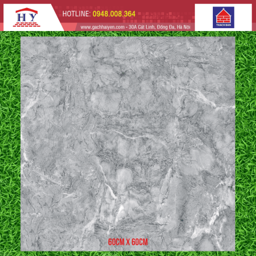 gach thach ban 60x60 TGB60 0396.0 1