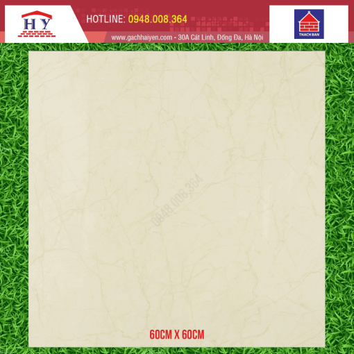 gach thach ban 60x60 TGB60 0853.0
