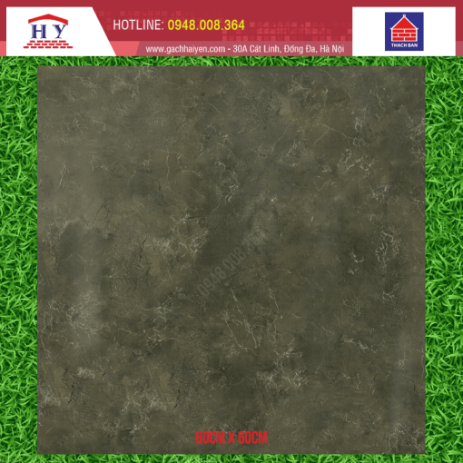 gach thach ban 60x60 TGB60 0855.0