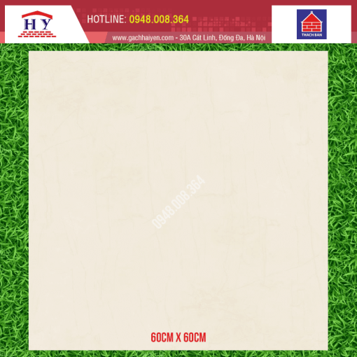 gach thach ban 60x60 TGM60 0071.0