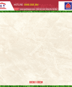 Gạch Thạch Bàn Granite FB60-0007