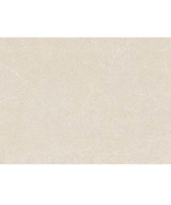 GẠCH TRUNG QUỐC 60X120 MÃ TQ612109