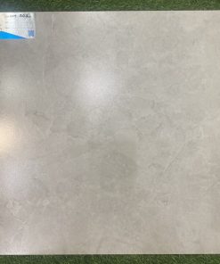 GẠCH VIGLACERA 50X50 MÃ HM501