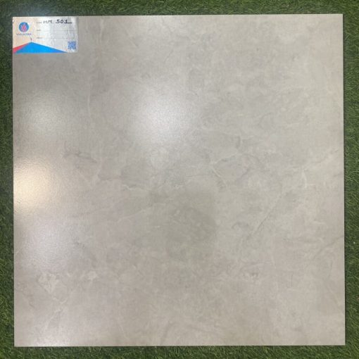 gach viglacera 50x50 HM501