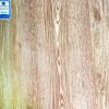 GẠCH VIGLACERA 60X60 MÃ G6003