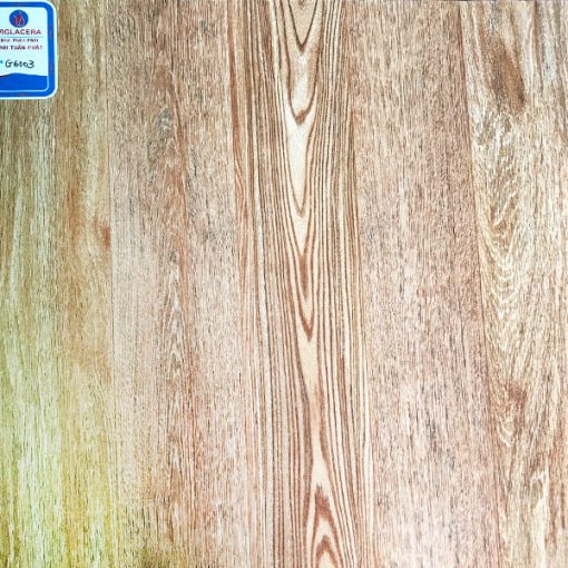 gach viglacera 60x60 G6003