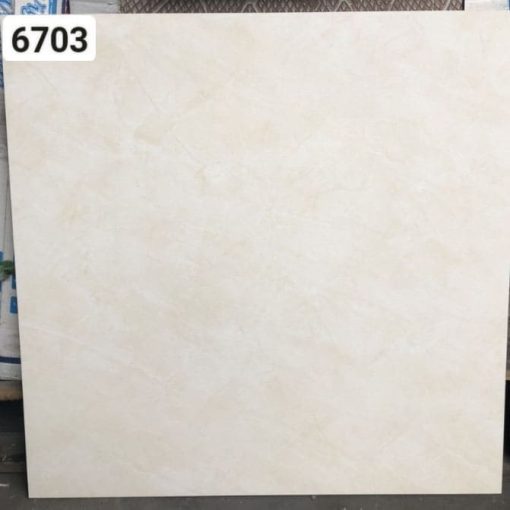gach viglacera 60x60 TB6703