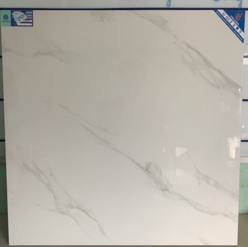 gach viglacera 60x60 TB6707
