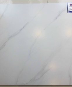 GẠCH VIGLACERA 60X60 MÃ VG6001