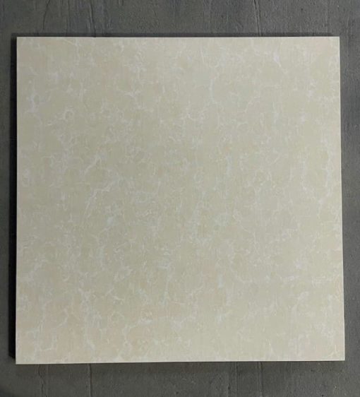 gach viglacera 80x80 TS2 812