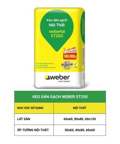 Keo dán gạch nội thất hãng weber ST250