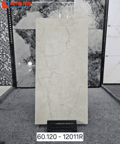 Gạch Ấn độ 60x120 mã 12011R