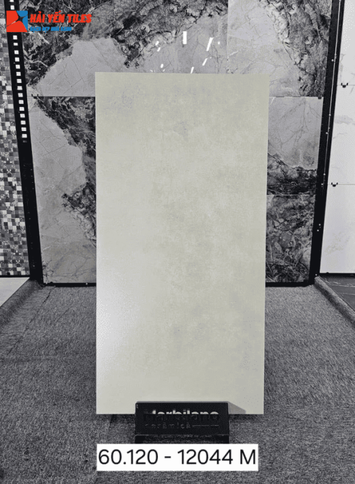 Gạch Ấn độ 60x120 mã 12044M