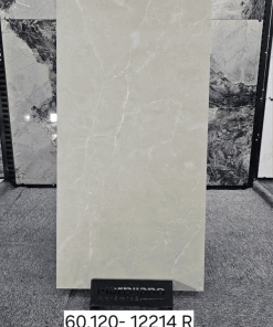 Gạch ấn độ 60x120 mã 12214R