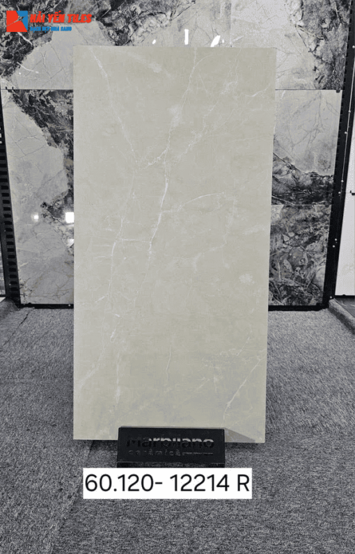 Gạch ấn độ 60x120 mã 12214R