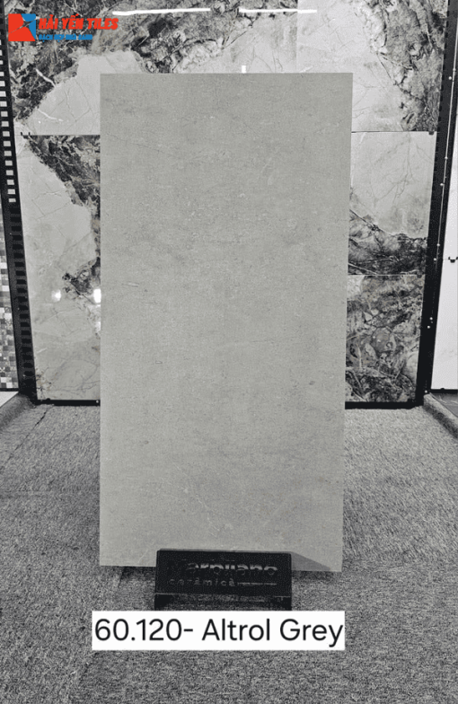 Gạch Ấn độ 60x120 mã Altrol Grey