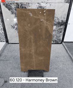 Gạch Ấn độ 60x120 mã Harmoney Brown