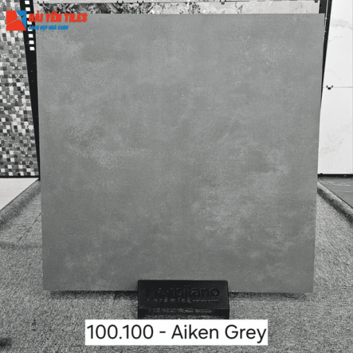 Gạch Ấn Độ 100x100 Mã Aiken Grey