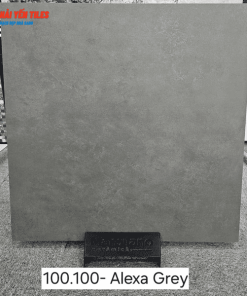 Gạch Ấn Độ 100x100 Mã Alexa Grey