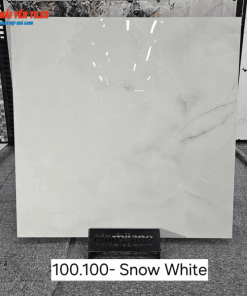 Gạch Ấn Độ 100x100 Mã Snow White