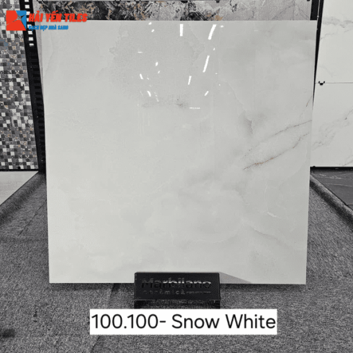 Gạch Ấn Độ 100x100 Mã Snow White