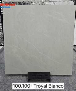 Gạch Ấn Độ 100x100 Mã Troyal Bianco