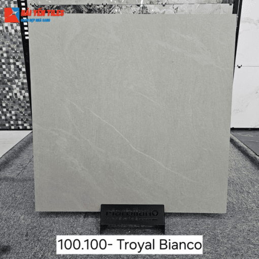 Gạch Ấn Độ 100x100 Mã Troyal Bianco