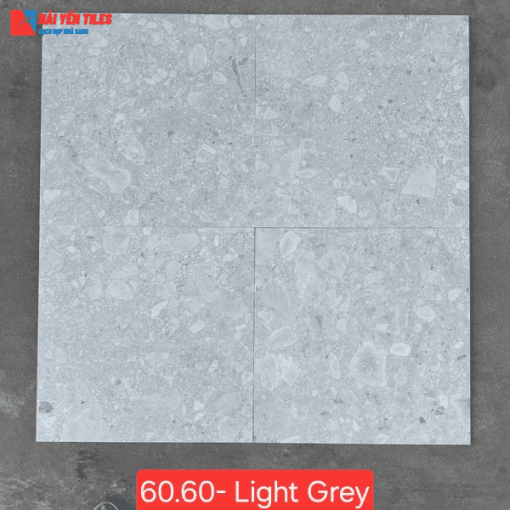 Gạch Tezzarro Ấn Độ 60x60 Mã Terrazzo Light Grey