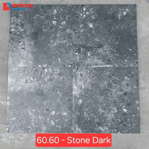 Gạch Tezzarro Ấn Độ 60x60 Mã Terrazzo Stone Dark