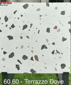 Gạch Tezzarro Ấn Độ 60x60 Mã Terrazzo Dove
