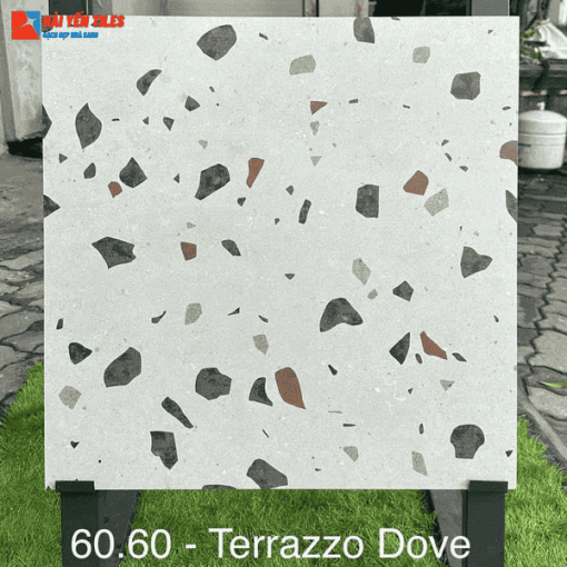 Gạch Tezzarro Ấn Độ 60x60 Mã Terrazzo Dove