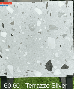 Gạch Tezzarro Ấn Độ 60x60 Mã Terrazzo Silver