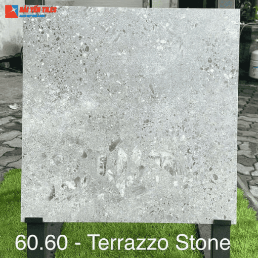 Gạch Tezzarro Ấn Độ 60x60 Mã Terrazzo Stone