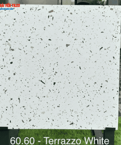 Gạch Tezzarro Ấn Độ 60x60 Mã Terrazzo White