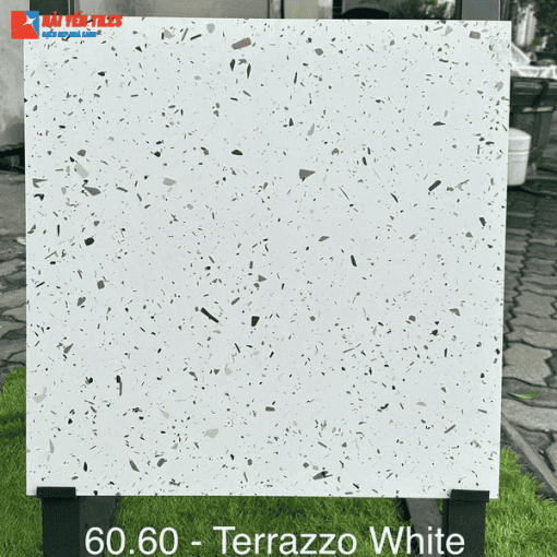Gạch Tezzarro Ấn Độ 60x60 Mã Terrazzo White