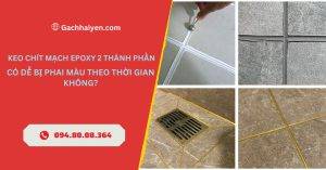 Keo chít mạch epoxy 2 thành phần có dễ bị phai màu theo thời gian không?