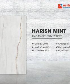 Gạch Ấn Độ 60x120 Harisn Mint vân đá