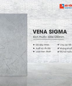 Gạch Ấn Độ 60x120 Vena Sigma vân đá cao cấp