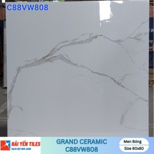 Gạch Grand 80×80 C88VW808