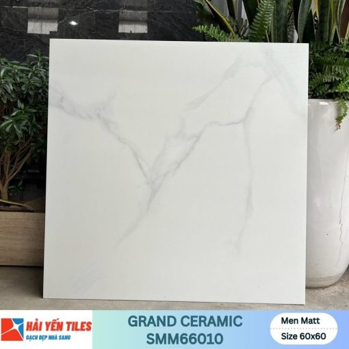 Gach grand 60x60 SMM66010