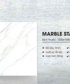 Gạch Ấn Độ 100x100 Marble Staturio
