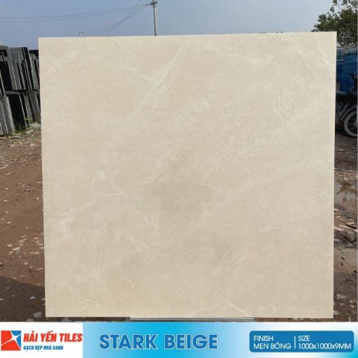 Gạch Ấn Độ 100x100 Stark Beige