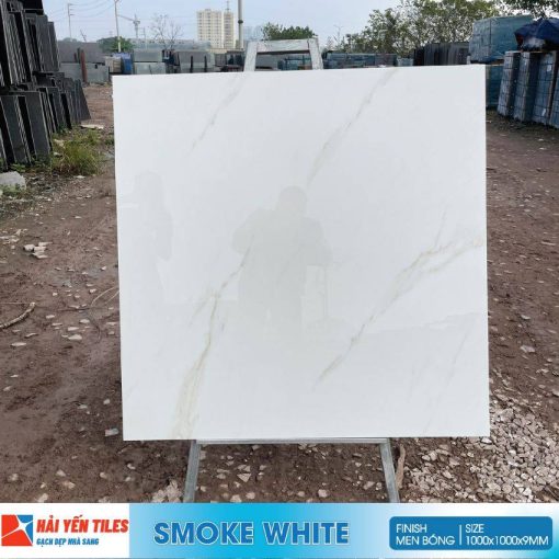Gạch Ấn Độ 100x100 Smoke White
