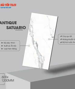 Gạch Ấn Độ 60x120 Antique Staturio